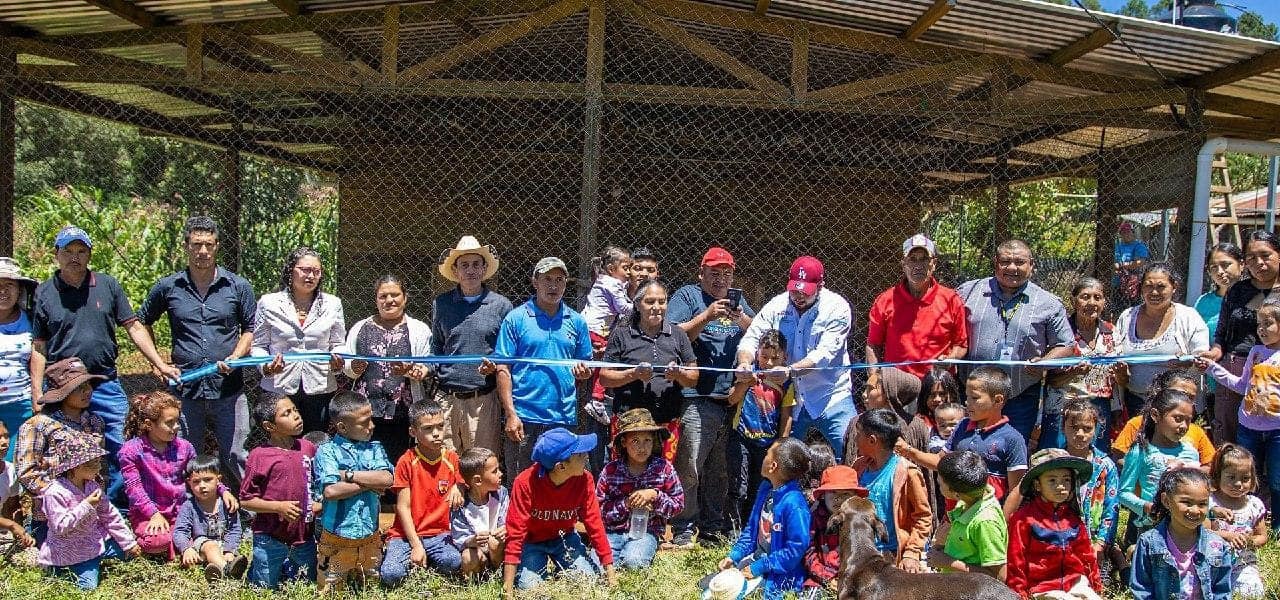 Gobierno impulsa la producción avícola y la seguridad alimentaria en Santa Ana, Francisco Morazán