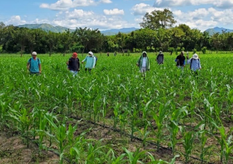 Gobierno invierte L2,700 millones en apoyo a pequeños productores con bono tecnológico