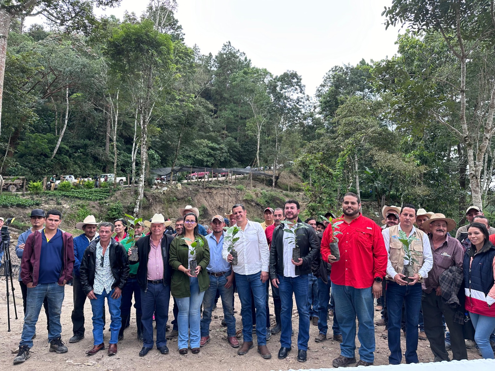 ...