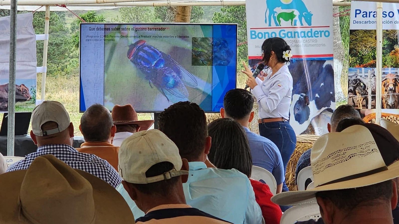 SAG capacita a productores de El Paraíso para fortalecer el sector ganadero