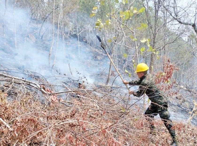 Fuerzas Armadas intensifica esfuerzos para combatir incendios forestales en temporada de calor