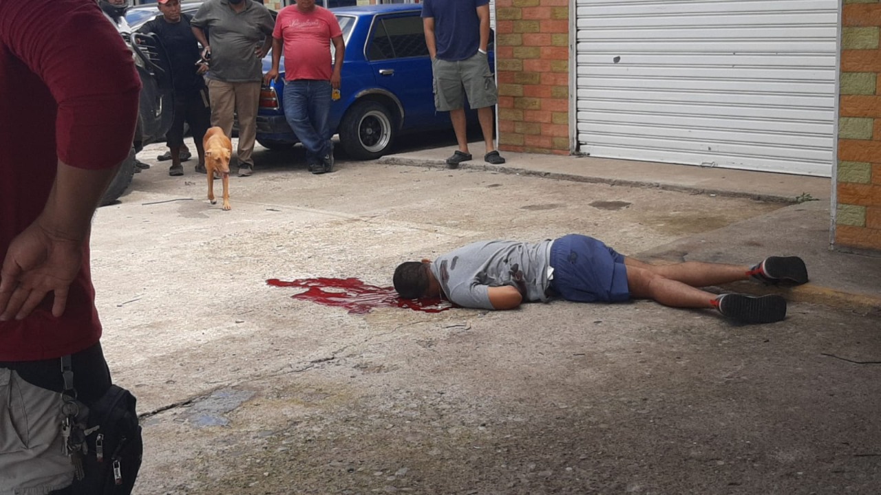 Imagen adicional