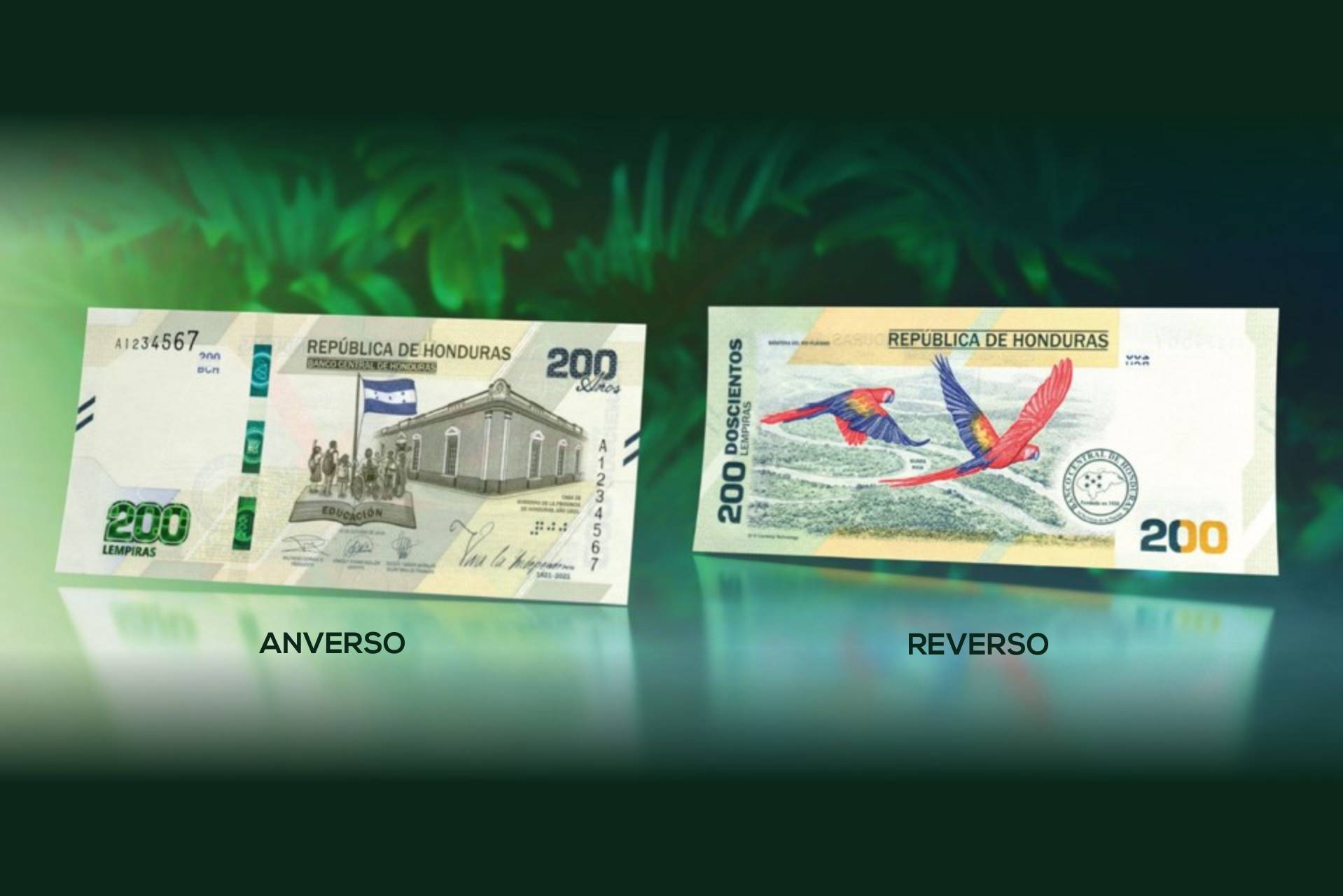 Imagen adicional